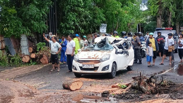 Mobil Turis Tertimpa Pohon di Bali: Ibu Tewas, Anaknya Selamat