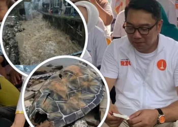 Warganet Geruduk Instagram Ridwan Kamil Imbas Banjir Bogor dan Bekasi hingga Patung Penyu Kardus Rp15,6 M