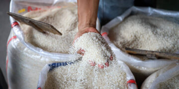 Kementan Ungkap Harga Beras di Jepang Tembus Rp 86.156 per Kg, di RI Masih Aman