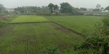 Oknum KCIC dan BPN Diduga Rugikan 9,7 Miliar, Ahli Waris H. Sukarya Pinta Gubernur Jabar Tuntaskan Mafia Tanah