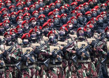 Presiden Prabowo Perintahkan TNI Siapkan Pasukan Perdamaian untuk Gaza
