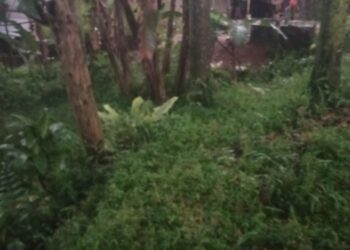 Pemilik Proyek Peternakan Ayam di Tajurhalang Lakukan Diskriminasi Dan Sebut Wartawan Anjing Dan Monyet