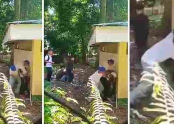 Viral ! Perundungan Brutal di Sekolah , Jakarta Tuntut Aksi Cepat dan Tegas!