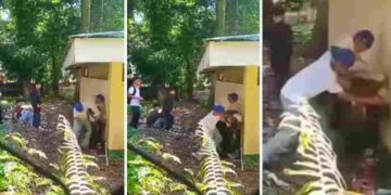 Viral ! Perundungan Brutal di Sekolah , Jakarta Tuntut Aksi Cepat dan Tegas!