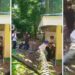 Viral ! Perundungan Brutal di Sekolah , Jakarta Tuntut Aksi Cepat dan Tegas!