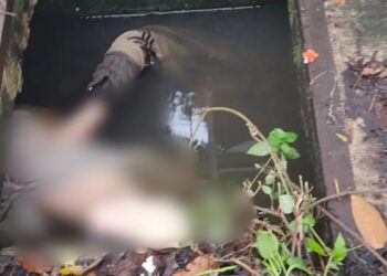 Pembunuhan Mahasiswi Jasadnya Ditemukan Di Depan Kampus STIHSA, Pelaku Oknum Anggota Polri