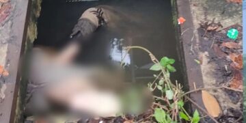 Pembunuhan Mahasiswi Jasadnya Ditemukan Di Depan Kampus STIHSA, Pelaku Oknum Anggota Polri