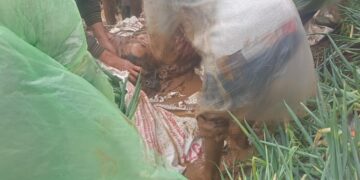 Bandung Barat Berduka lagi , Terjadi Tanah Longsor Yang Berakibat Ada Korban Nyawa