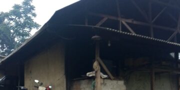 Wartawan Desak Bupati Purwakarta Usut Dugaan Limbah Pabrik Tahu di Bojong Timur, Diduga Langgar UU Lingkungan Hidup
