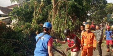 Curah Hujan Yang Tinggi Dan Angin Kencang Di Cimahi Sebabkan Pohon Tumbang Dan Beberapa Rumah Rusak