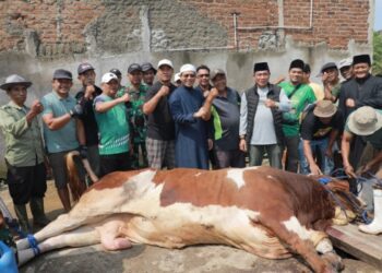 Bupati Bandung Dadang Supriatna Menyaksikan Pemotongan Hewan Kurban Bantuan Presiden Prabowo