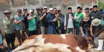 Bupati Bandung Dadang Supriatna Menyaksikan Pemotongan Hewan Kurban Bantuan Presiden Prabowo
