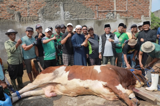 Bupati Bandung Dadang Supriatna Menyaksikan Pemotongan Hewan Kurban Bantuan Presiden Prabowo