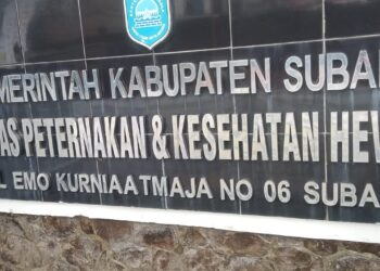 Di Duga Dapat Perlindungan Dari Oknum Dinas Terkait,Usaha Ternak Sapi Susu Perah melenggang 10 Tahun Tanpa Ijin Usaha