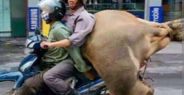 Raib nya Dana Hibah Dari Kementerian Pertanian Tahun 2018 Di Desa Tanjung Wangi Kabupaten Subang Mulai Terkuak,Salah Satu Bakal Calon Kades Tanjung wangi Subang di Duga Terseret