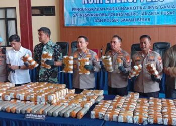 Polres Metro Jakarta Pusat Ungkap Tiga Kasus Peredaran Ganja, Sita 130 Kilogram