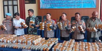 Polres Metro Jakarta Pusat Ungkap Tiga Kasus Peredaran Ganja, Sita 130 Kilogram