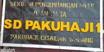 Pekerjaan Swakelola Di Duga Di Garap Pihak ke tiga,Dana Revitalisasi SD Negeri Paku haji 1 Kecamatan Cisalak Kabupaten Subang Di Sorot